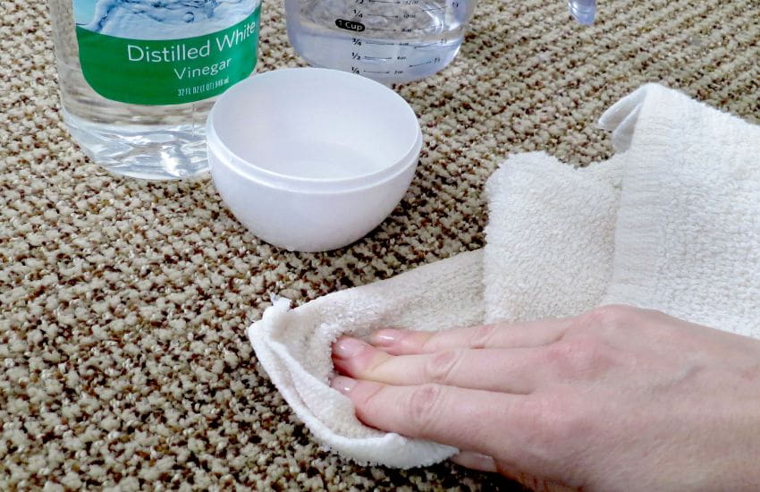 Use Of White Vinegar Carpet