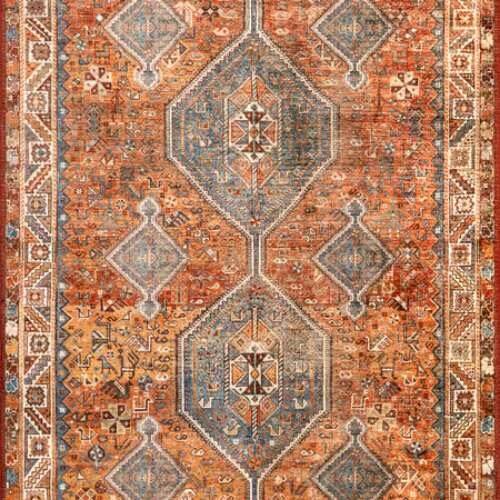Blaise Medallion Rugs