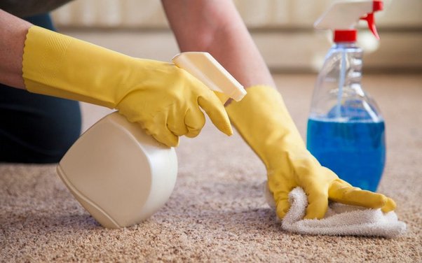 How To Get Slime Out Of Carpet