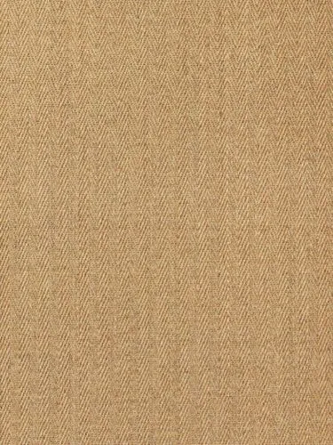 Arrow Curry House Sisal Rug