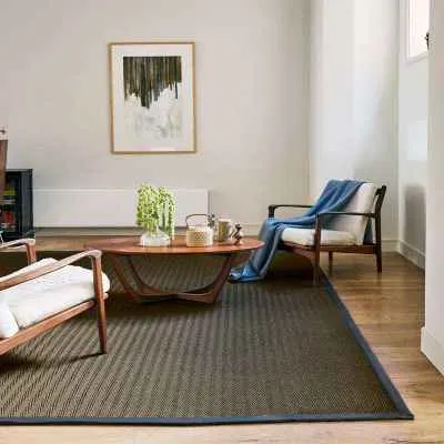Sisal Area Rugs for Large Living Spaces