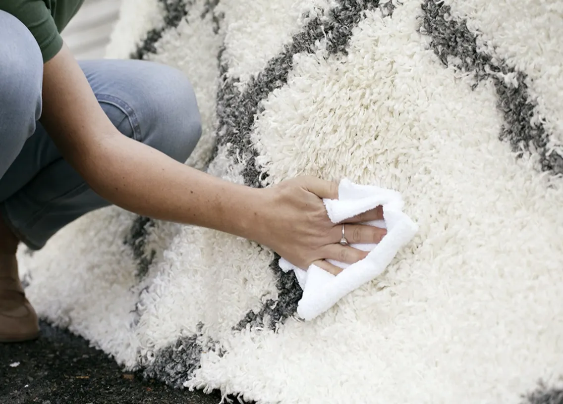 How to clean a shaggy rug