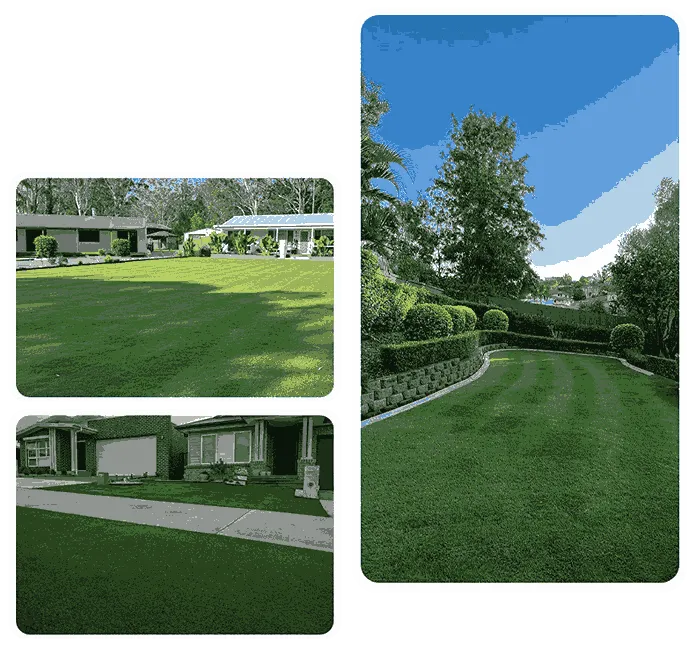 Large Artifical Grass Carpet in a Outdoor Space