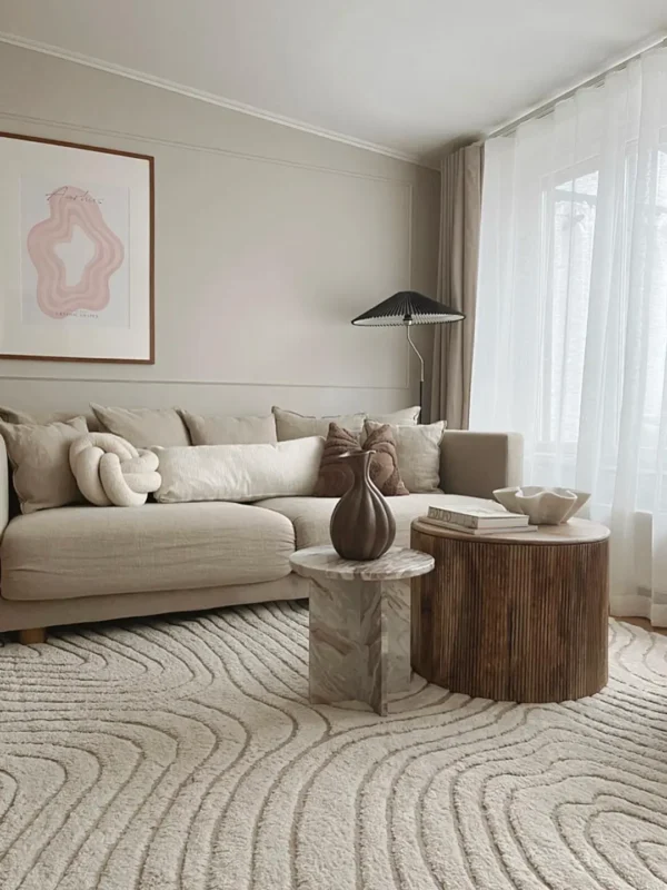 Cream White - Beige Shaggy Rug