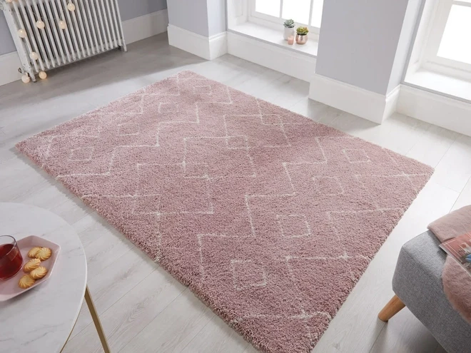Long Lasting and Washable Rug