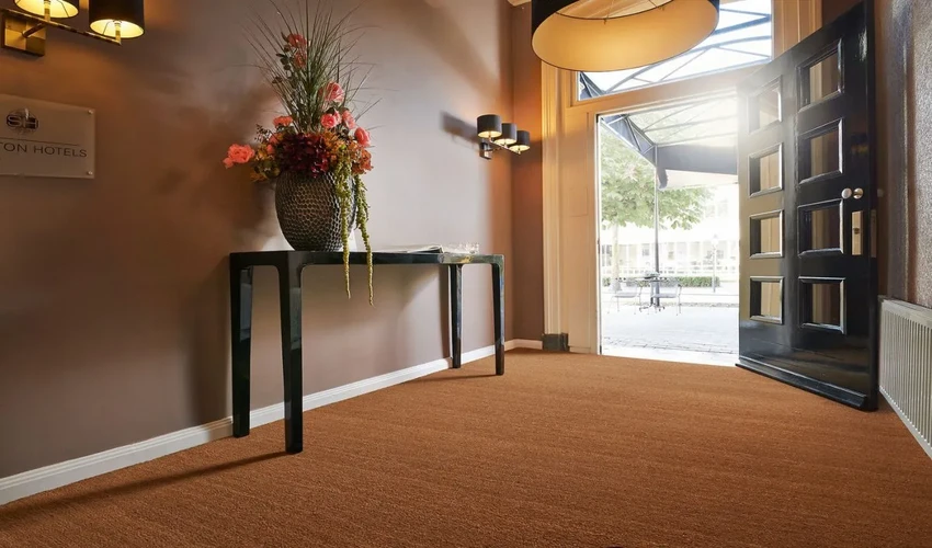 Entrance Areas Rugs