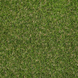 Askham 37mm Artificial Grass