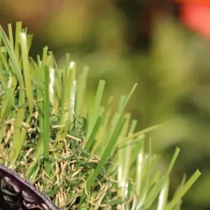 C Blade-92 Grass Carpet