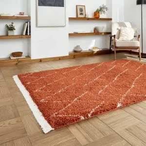Moroccan Rust Berber Shaggy Rug
