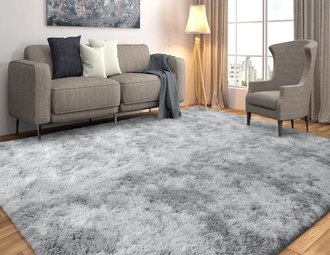 Large Area Rugs for Living Room