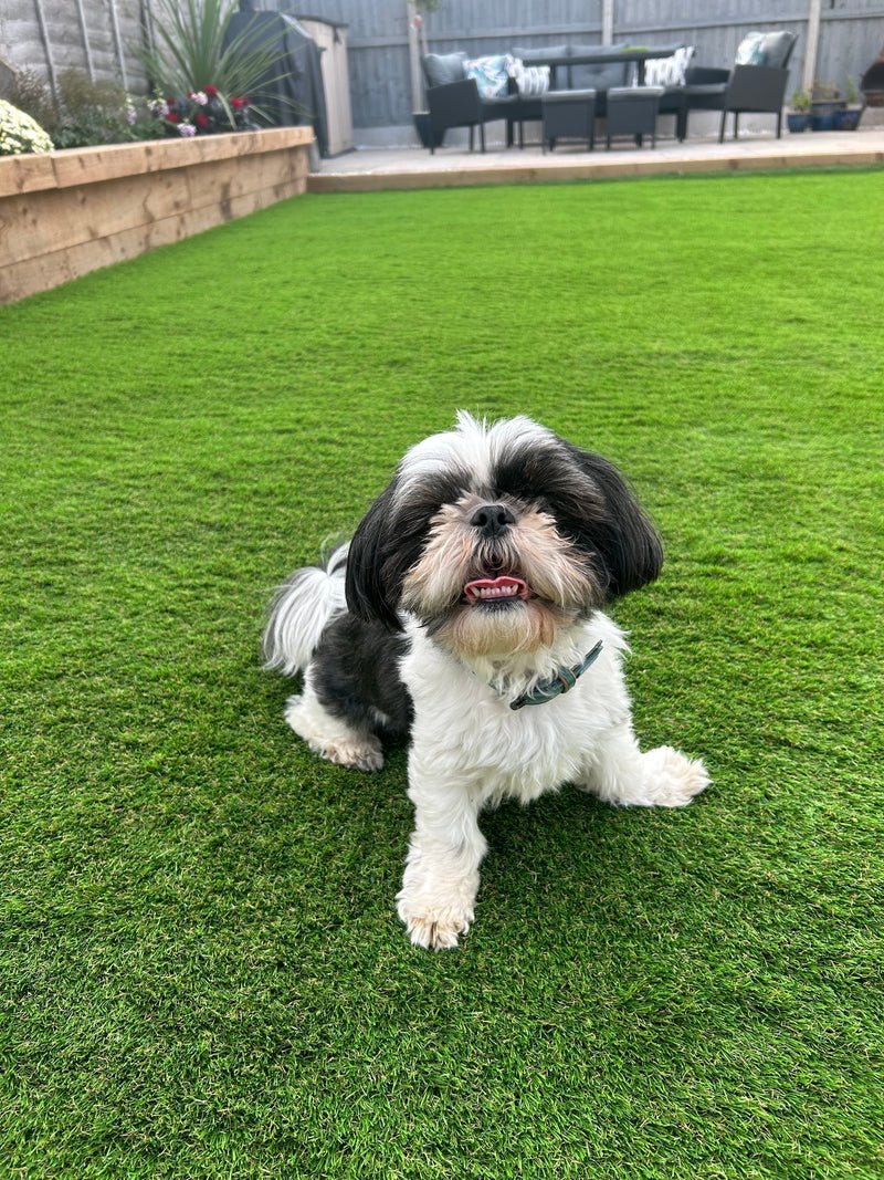 Galileo 42mm Artificial Grass