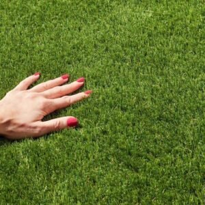 Hollywood Artificial Grass