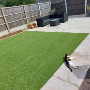 Lunar 20mm Artificial Grass
