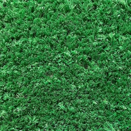 10 MM Grass