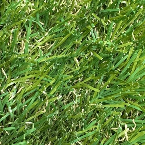 40 MM Grass