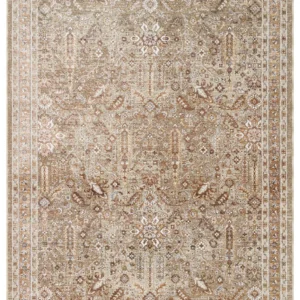 Antique Lattice Reverie Rug