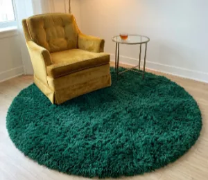 Apartment Shaggy Rugs