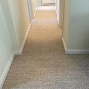 Barbados Natural Carpet