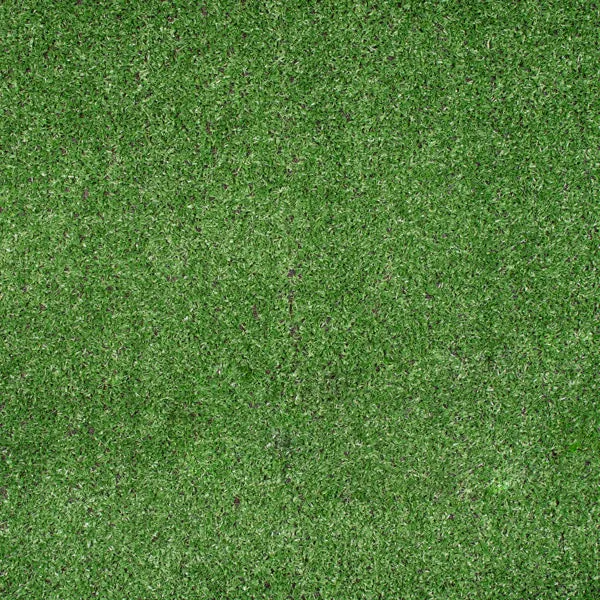 Budget Artificial Grass