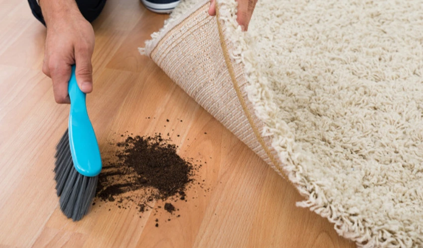 Carpet Clean Dubai