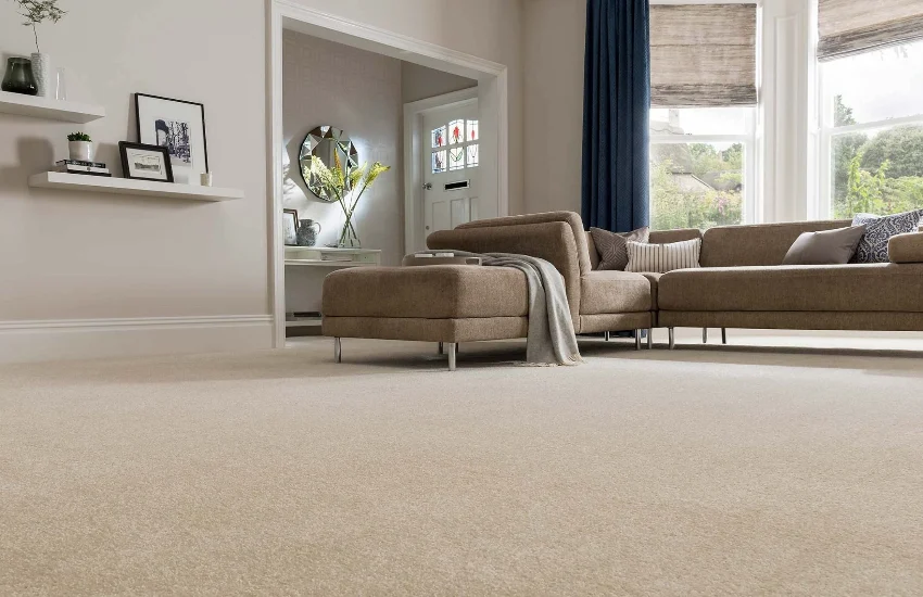 Carpet Size and Floor Coverage