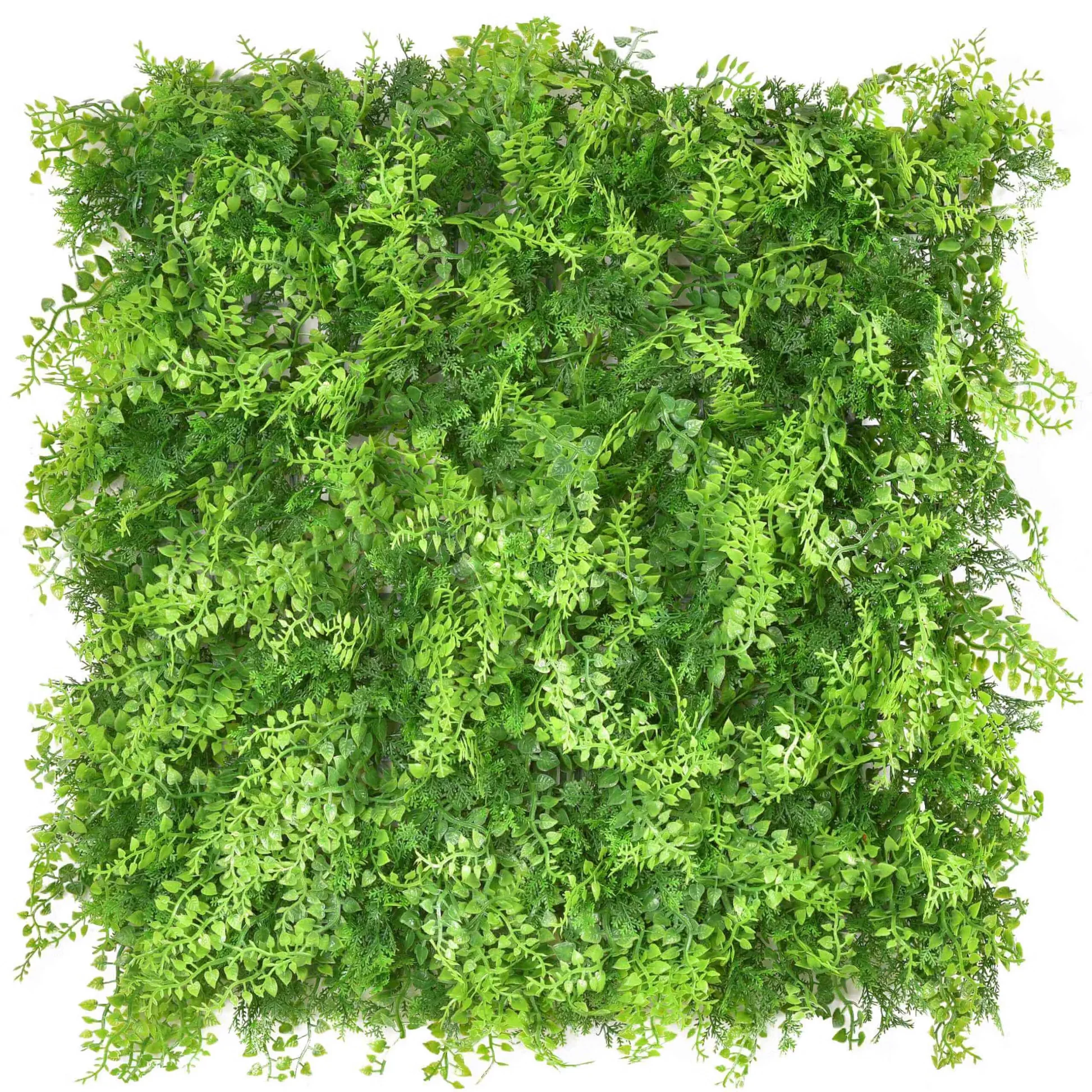 Conifer 50x50cm Artificial Living Wall