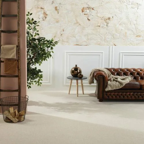 Dorothy Carpet