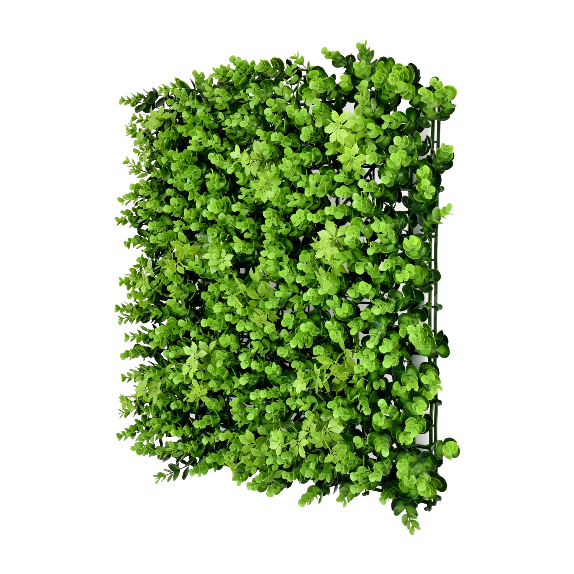 Eucalyptus 50x50cm Artificial Living Wall