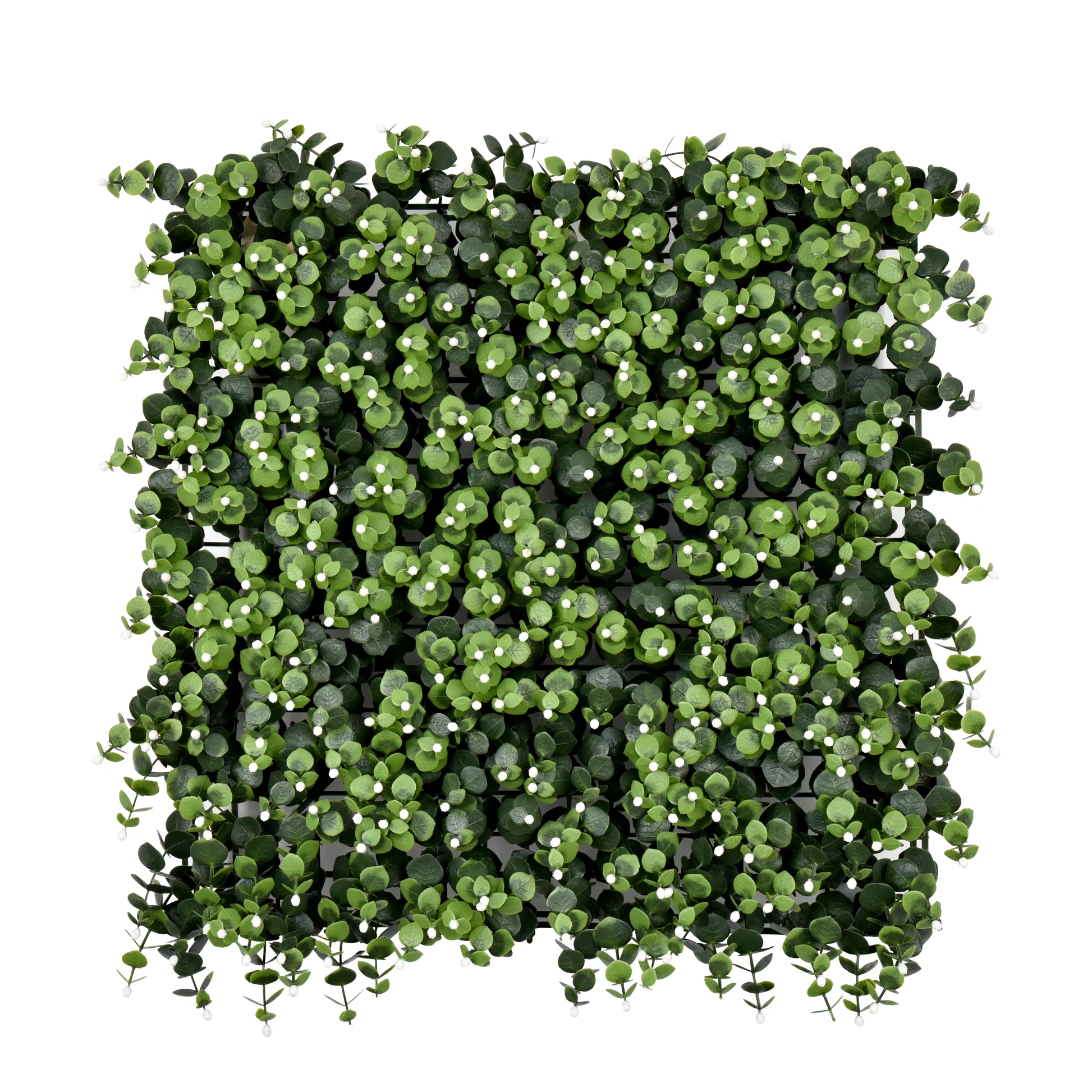 Eucalyptus Berry 50x50cm Artificial Living Wall