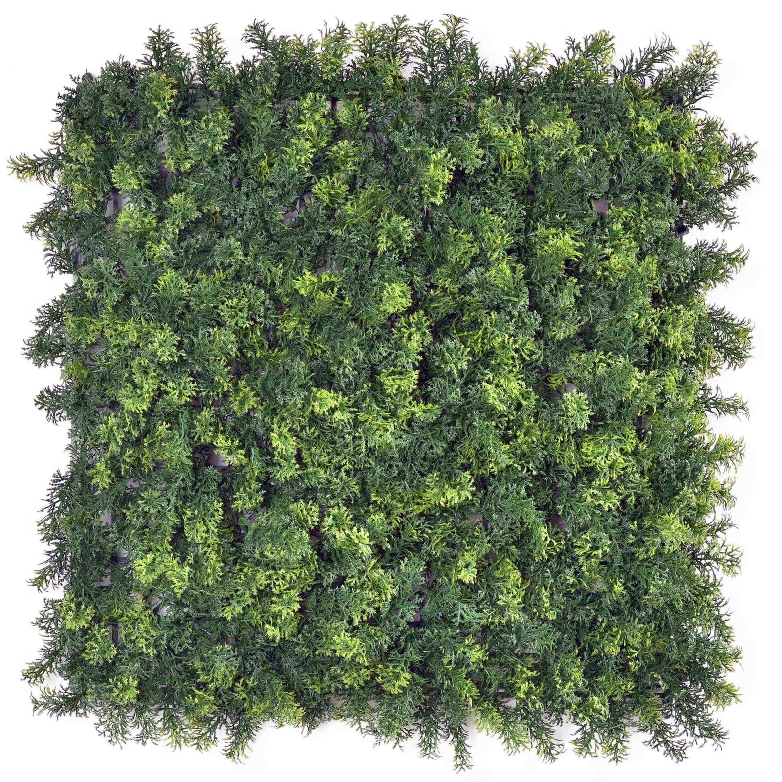Forest Moss 50x50cm Artificial Living Wall