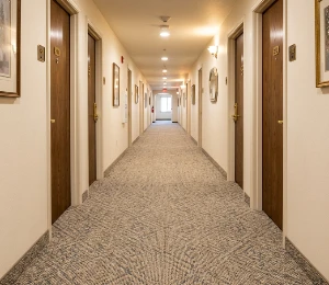 Hallways Wall To Wall Carpet