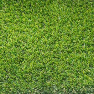 Jetta Artificial Grass
