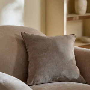 Latte 45 x 45cm Soft Velour Cushion