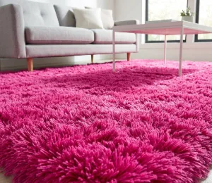 Living room Shaggy Rug