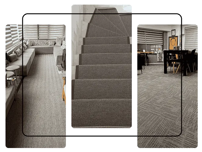 Modern Sisal Carpets for Living Rooms & Stairs
