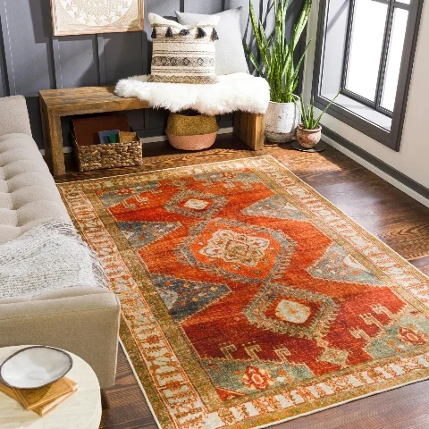 Orange Carpets & Rugs