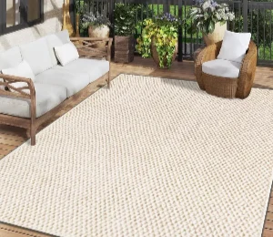 Outdoor - Indoor Rug