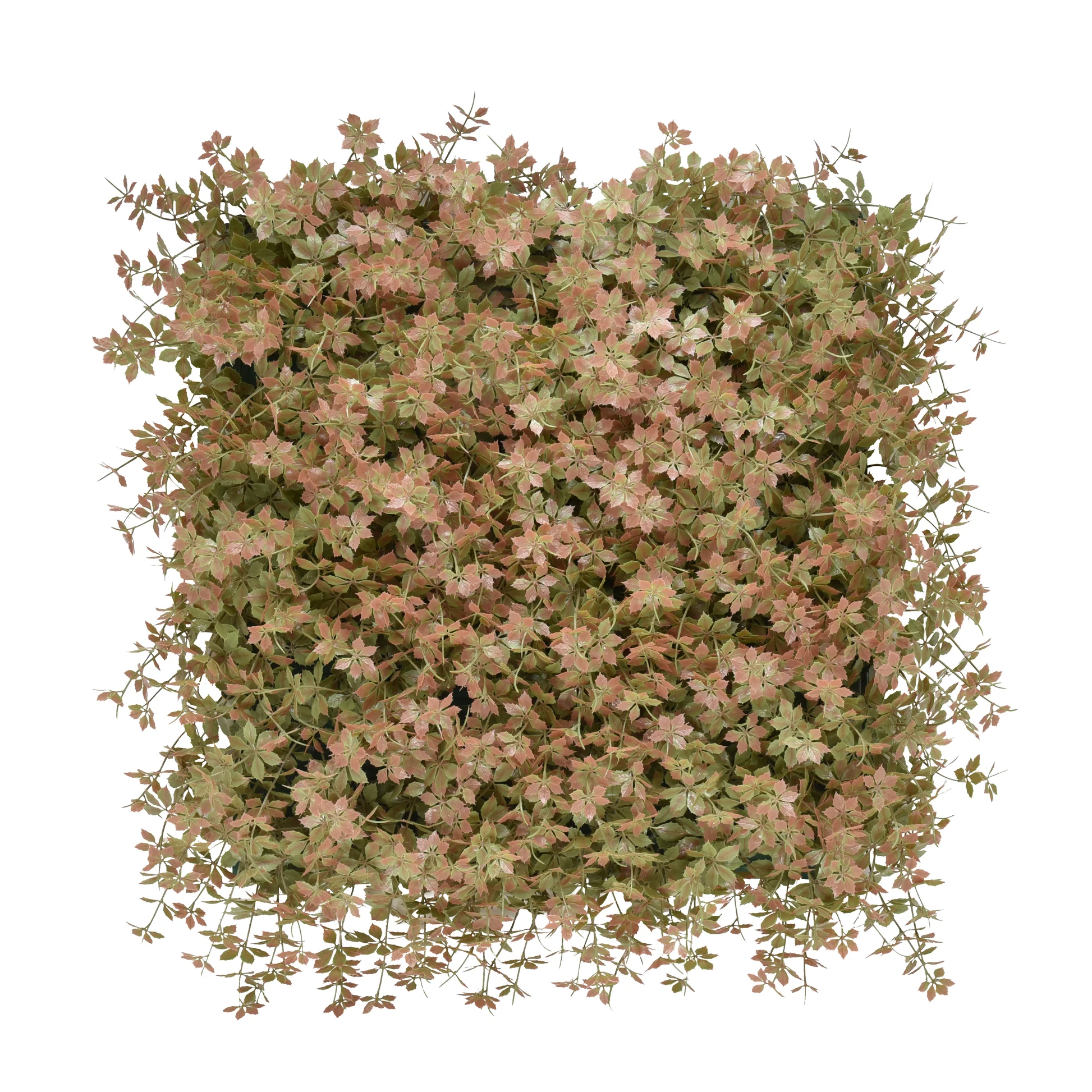 Peachy Keen 50x50cm Artificial Living Wall