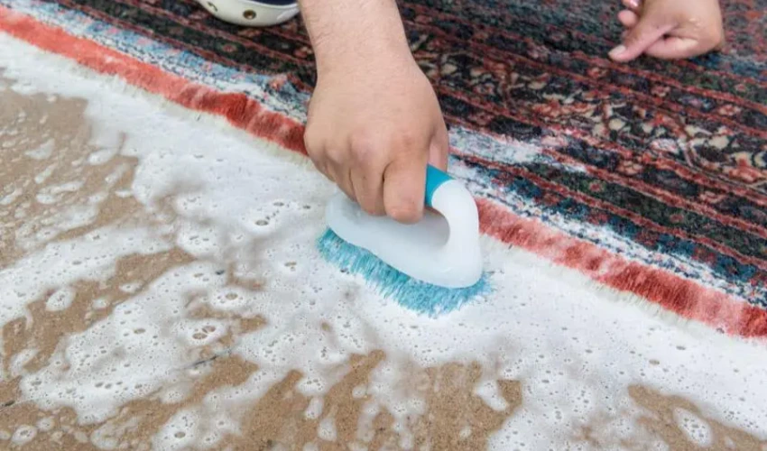 Professional Cleaning 