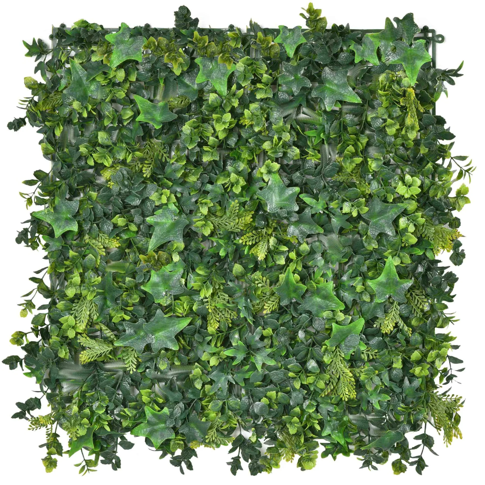 Rainforest 50x50cm Artificial Living Wall