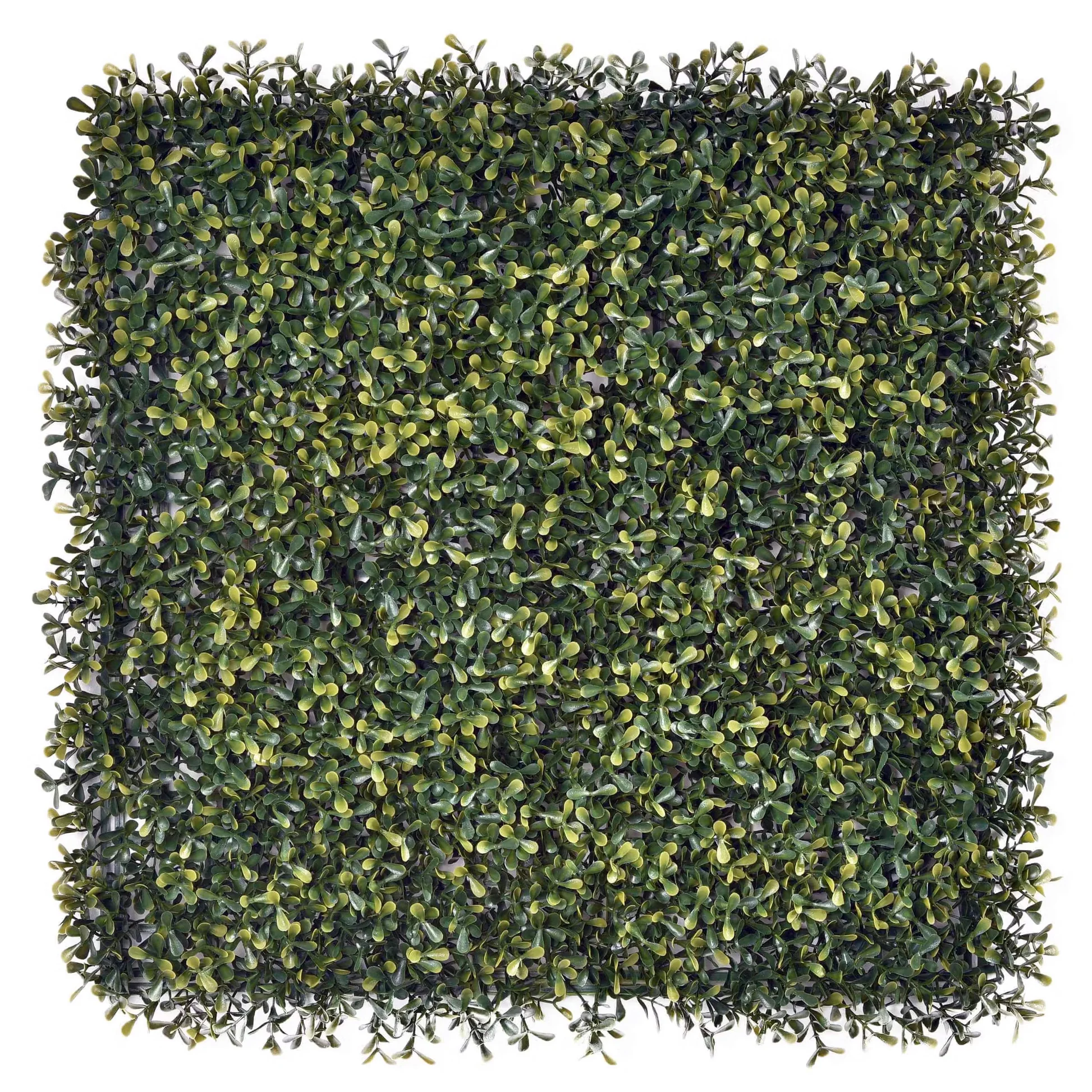 Topiary 50x50cm Artificial Living Wall