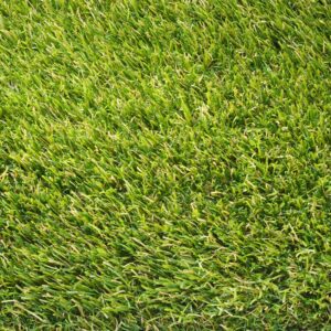 Vantage Evolve Artificial Grass