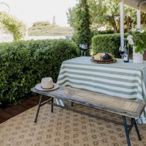 Cove Sand Nude and Ash Medallion Indoor Outdoor Rug