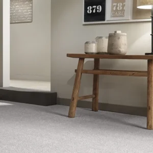 Belton Polypropylene Feltback Twist Carpet