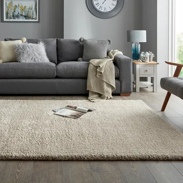 Cosy Plush Shaggy Rug
