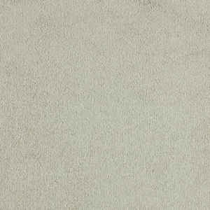 Lano Lior SmartStrand Triexta Twist Carpet