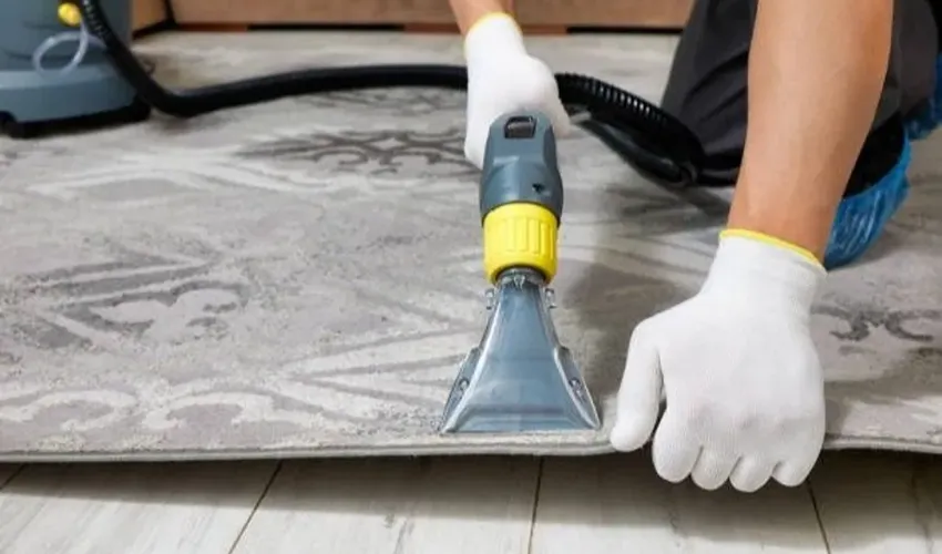 Step-by-step professional rug cleaning process